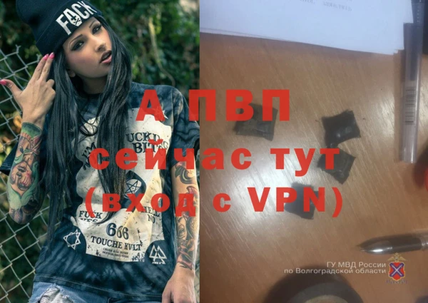 индика Семёнов