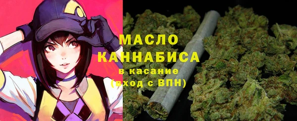 индика Семёнов