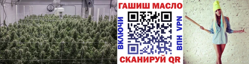 ТГК Wax  Купить где  Кировск 